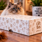 Giftbox Cat