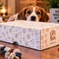 Giftbox Dog